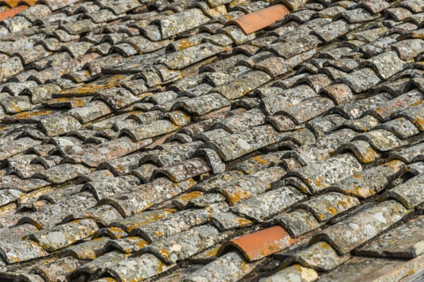 Old roof tiles, roof, old, moss, texture, background, graphic, building, dilapidated, surface, close up, Tuscany, Italy, Europe