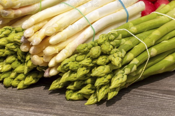 Green asparagus and white asparagus decorated on a rustic wooden table