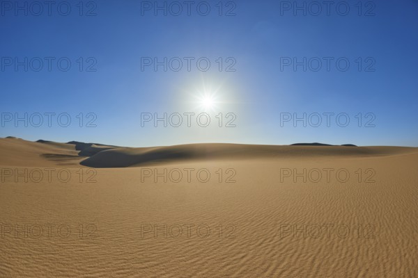 The endless expanse of a desert with golden sand dunes under a bright blue sky and the glistening sun, Matruh, Great Sand Sea, Libyan Desert, Sahara, Egypt, North Africa, Africa