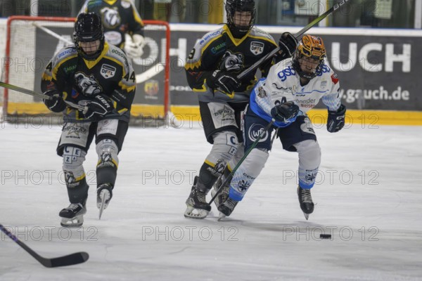 07.12.2024: German Women's Ice Hockey League, 2024/25 season: Mad Dogs Mannheim vs ERC Ingolstadt