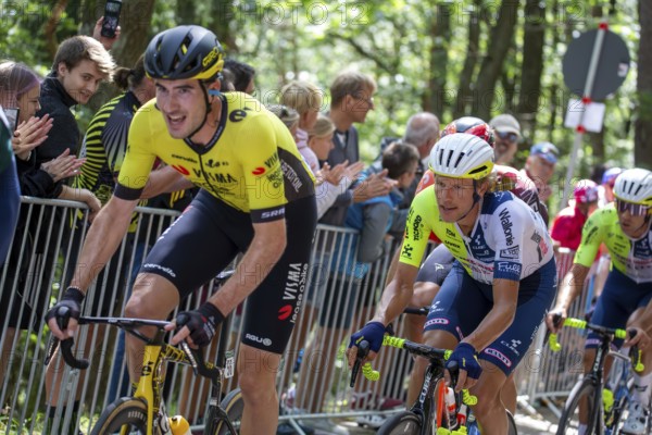 Lidl Deutschland Tour 2024 (cycling), 4th stage and last stage From Annweiler am Trifels to Saarbrücken (182, 7 KM) . Image: Arrival at the Kalmit, the highest mountain in the Palatinate Forest