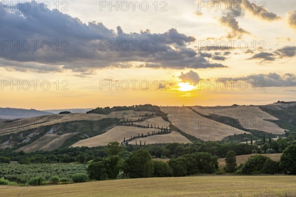 Typical Tuscan landscape in Val d'Orcia with hills, trees, fields, cypresses and farm road in autumn at sunset, La Foce, Tuscany, Italy, Europe