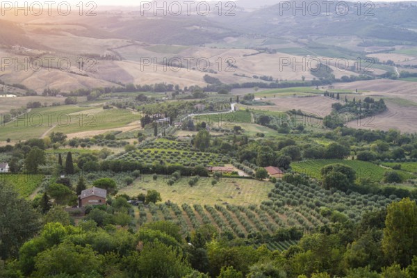 View from Montepulciano into a typical Tuscan landscape in Val d'Orcia with hills, trees, fields, cypresses and farm houses in summer, Montepulciano, Tuscany, Italy, Europe