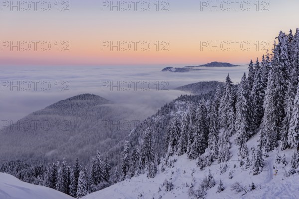 Sunrise snow tour on the Tegelberg in the Allgäu in Bavaria. Winter Wonder Land, Germany, Europe