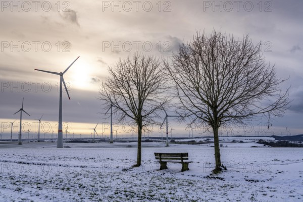 Wind farm, north of Lichtenau, self-proclaimed energy town, over 190 wind turbines and over 1200 solar panels generate 10 times as much electricity as the community of 11, 900 inhabitants consumes, largest onshore cluster of wind turbines in Germany, winter, slightly snow-covered landscape, North Rhine-Westphalia, Germany, Europe
