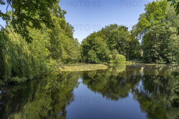 Pond in the park of Worcester College, University of Oxford, Oxfordshire, England, Great Britain