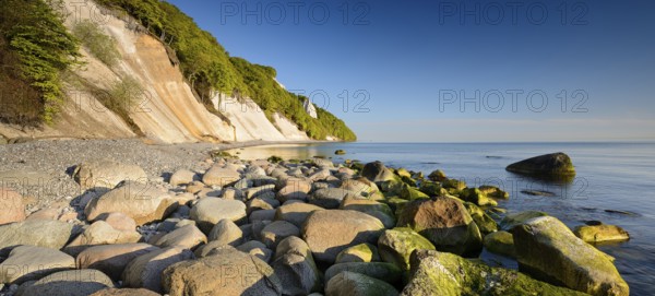 Chalk cliffs and boulders on the Baltic Sea in spring, Königsstuhl in the background, fresh greenery, Jasmund National Park, Rügen Island, Mecklenburg-Western Pomerania, Germany, Europe