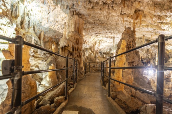 Tourists enjoy a train ride through the illuminated walkways of postojna cave, marveling at the breathtaking stalactite and stalagmite formations