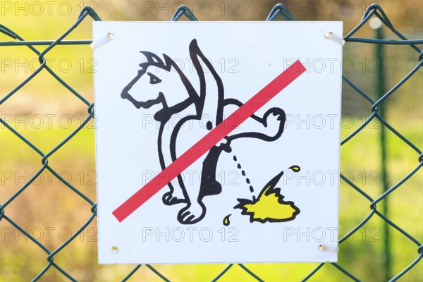 Verbotsschild Hundeklo an einem Zaun, Stolpen, Sachsen, Deutschland