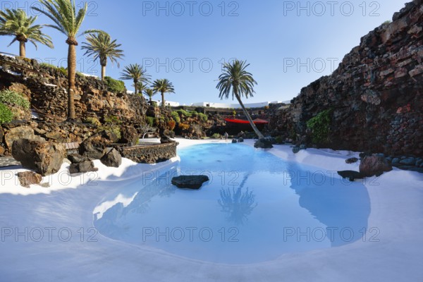 Palm trees by the swimming pool, Jameos del Agua, Lanzarote, Spain, Europe