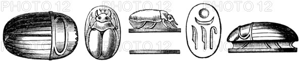 Scarabs or lucky beetles, used as lucky charms, jewellery and burial objects since antiquity, especially in Egypt, archaeological finds, history of mankind, historical illustration 1880