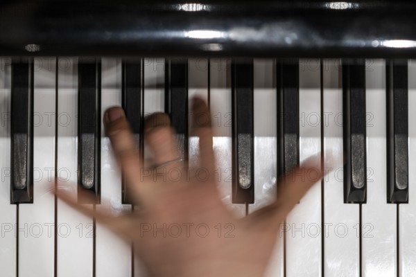 Hand of a young pianist playing on the keyboard of a Steinway & Sons grand piano, Stuttgart, Baden-Württemberg