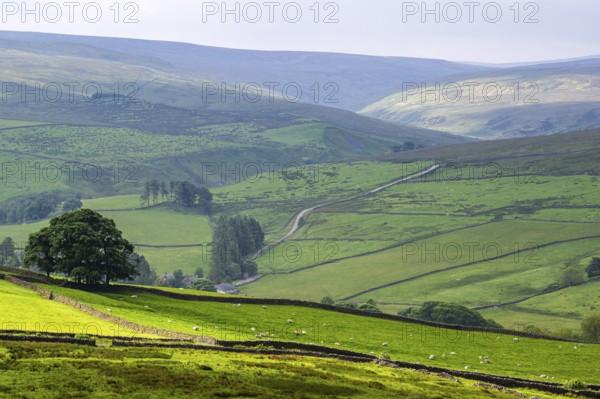 Farms over North Pennines, Cumbria, Durham, Northumberland, North Yorkshire, England, United Kingdom, Europe