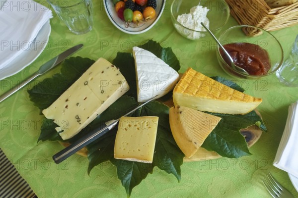 Cheese platter with different types of cheese, hard cheese arranged on vine leaves, knife, vegetarian, food, breakfast table, brunch, table setting, food, studio, Germany, Europe