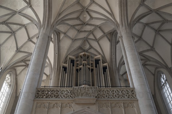 Organ loft of the late Gothic church of St George, built between 1427 and 1505, church, Nördlingen, Bavaria, Germany, Europe
