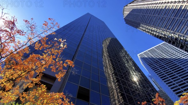 USA, Seattle financial and business district skyline in city downtown, North America
