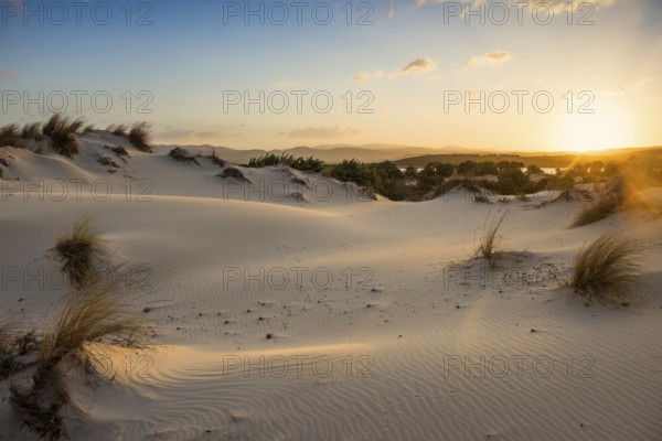 Lonely white sandy beach with dunes, sunrise, Porto Pino, Sardinia, south coast, Italy, Europe