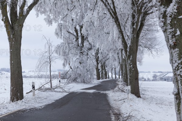 Closed road after snowfall, road to Kirchbach, Oederan, Erzgebirge, Saxony, Germany, Europe