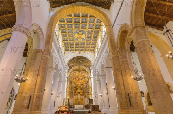 Cattedrale di San Gerlando interior, Agrigento, Sicily, Italy, Europe