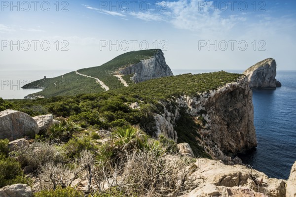 Coast with steep cliffs, Capo Caccia, near Alghero, Sardinia, Italy, Europe