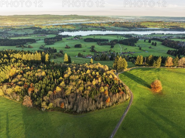 Mountain range near village Wertach, view to lake Rottachsee, aerial view, autumn colors, sunrise, Allgaeu, Bavaria, Germany, Europe