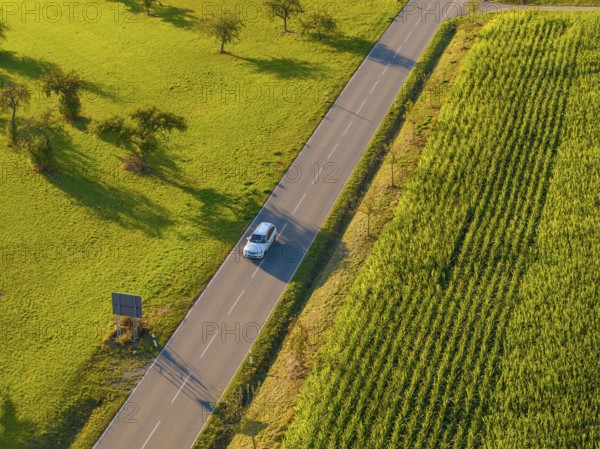 Car driving on a road through rural green fields, in the shade of scattered trees