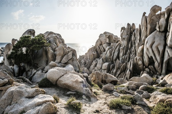 Bizarre and huge granite rocks by the sea, Valle della Luna, Capo Testa, near Santa Teresa di Gallura, Sardinia, Italy, Europe