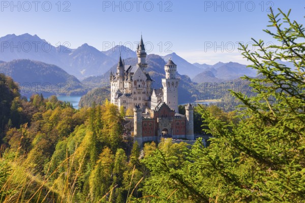 Neuschwanstein Castle with a picturesque landscape of forests and mountains, Schwangau, Ostallgäu, Allgäu, Swabia, Upper Bavaria, Bavaria, Germany, Europe