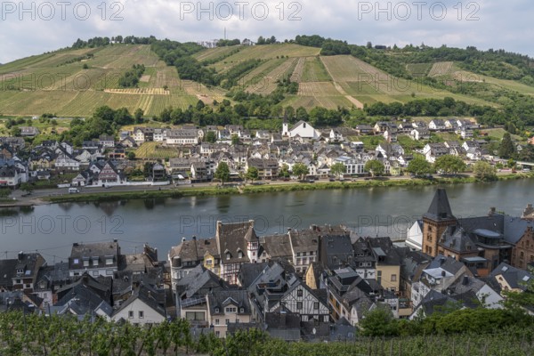 View of the Moselle and the village of Zell, Rhineland-Palatinate, Germany, Europe