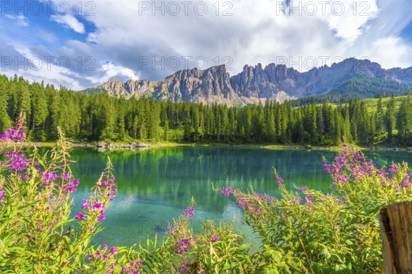 Wonderful aerial view of lake carezza reflecting latemar mountain range in the dolomites on a sunny summer day, nova levante, south tyrol, italy
