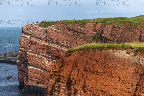 Red coloured sandstone, steep cliff coast of the high seas island of Heligoland, home of the gannets, Helgoländer Oberland, mole, North Sea, Pinneberg district, Schleswig-Holstein, Germany, Europe