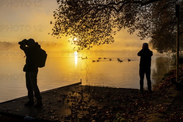 Autumnal colours at the Platanen Allee, Hardenberg Ufer, lakeside path at Lake Baldeney, near Haus Scheppen, in Essen, photographers, sunrise North Rhine-Westphalia, Germany, Europe