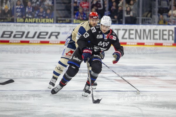 DEL, German Ice Hockey League season 2024/25, matchday 38: Adler Mannheim against Schwenninger Wild Wings. Picture: Dynamic advance by Stefan Loibl (13, Mannheim)