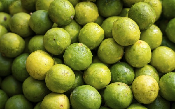 Round lemons displayed for sell