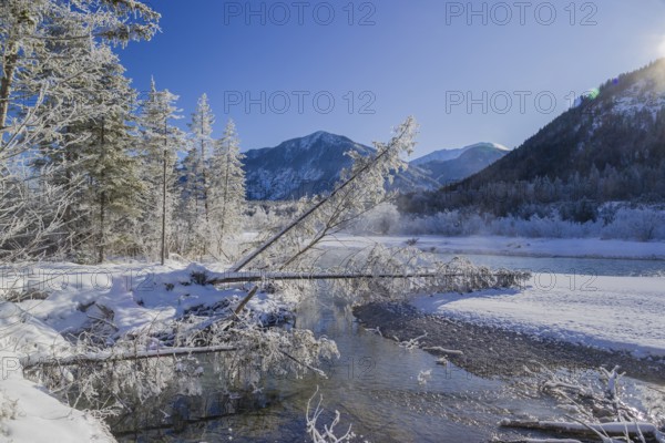 Isar valley in winter at temperatures of minus 18 degrees Celsius. Snow covered landscape with the Isar river flowing through. Some hoar frosted trees. Early morning