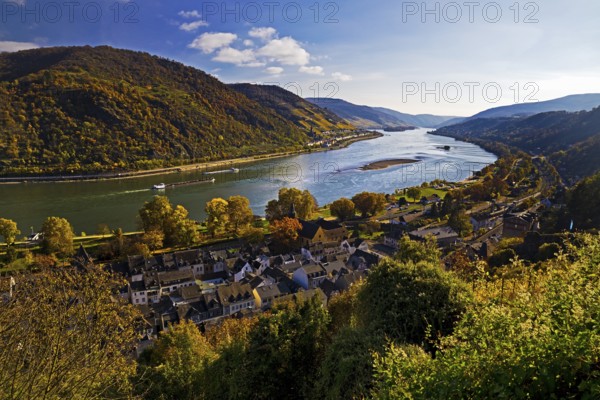 View of Bacharach on the Rhine in autumn, UNESCO World Heritage Upper Middle Rhine Valley, long-distance hiking trail RheinBurgenWeg, Rhineland-Palatinate, Germany, Europe