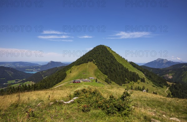 Oberwiesalm with Faistenauer Schafberg, Osterhorn group, Salzkammergut, Salzburg province, Austria, Europe