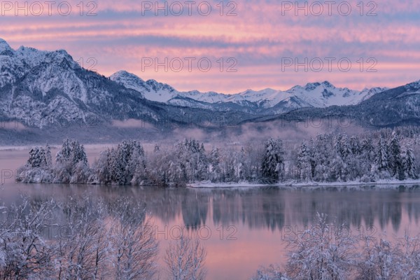 Dawn and sunrise at the wintry Forggensee in a snow-covered winter landscape in the foothills of the Alps in the Allgäu in Bavaria, Germany, Europe