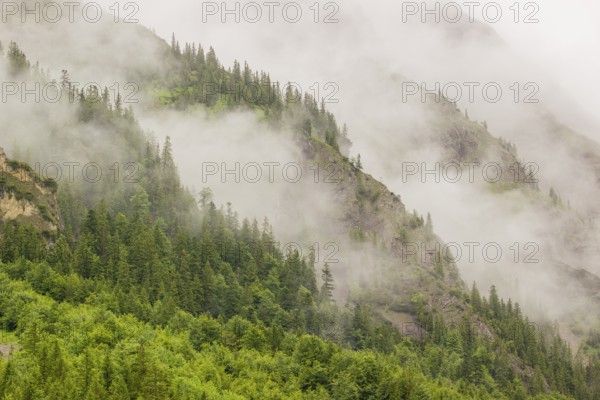 Wisps of mist cover the Karwendel mountains in the Großer Ahornboden nature reserve, Eng Valley, Tyrol, Austria, Europe