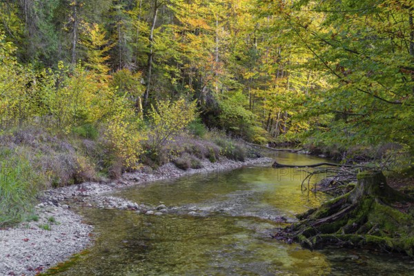 The Toplitz river begins at the western end of the Lake Toplitzsee as its only outflow. Its path leads through a wooded valley past the village of Gößl. After 1.6 kilometers, it flows into the Lake Grundlsee