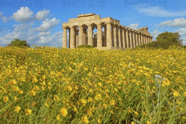 Temple of Hera or Temple E, Selinunte Archaeological Park, Selinunte, Trapani district, Sicily, Italy, Europe