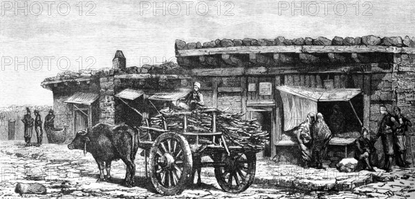 Village life in a small Asian village, Anatolia, ox team, timber transport, wooden houses, street scene, shop, trader, trade, people, travelling in Asia, Turkey, historical illustration 1887, Asia