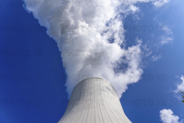 Cooling tower of the Duisburg-Walsum coal-fired power plant, combined heat and power plant operated by STEAG and EVN AG, 181 metres high, power plant unit 10, water vapour cloud, Duisburg, North Rhine-Westphalia, Germany, Europe
