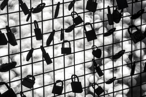 Padlocks, so-called love locks on a fence, vantage point in Wesel am Rhein, North Rhine-Westphalia, Germany, Europe
