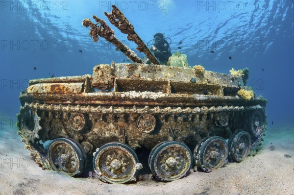 Underwater photo of diver swimming above looking at as an attraction for underwater sportsmen sunken US American tank M42 Duster with anti-aircraft gun at dive site Seven Sisters, Red Sea, Gulf of Aqaba, Aqaba, Aqaba, Jordan, Asia