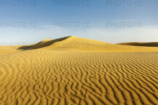 Dunes of Thar Desert. Sam Sand dunes, Rajasthan, India, Asia