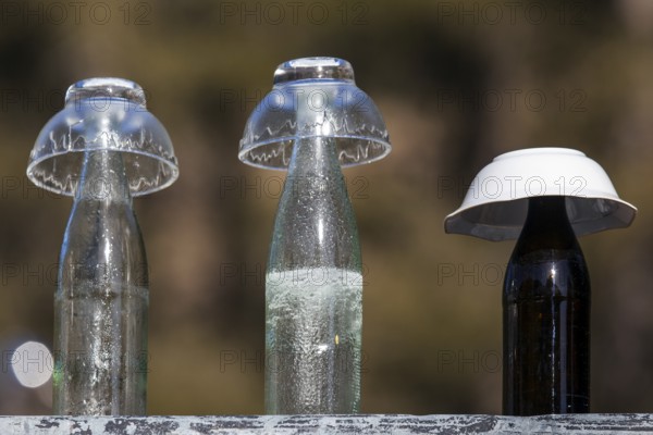 Glass bottles, covered with glass bowls, Oberallgäu, Allgäu, Bavaria, Germany, Europe