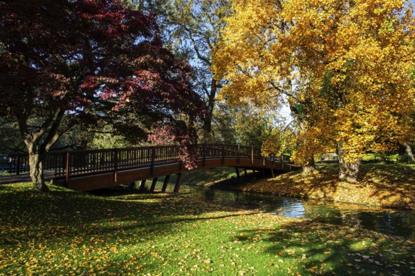 Trees in autumn colours, red and yellow, stream with wooden bridge, Zoological City Garden, Karlsruhe, Baden-Württemberg, Germany, Europe