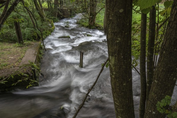 Rapids of the Trubach, Trubach Valley, Egloffstein, Upper Franconia, Bavaria, Germany, Europe