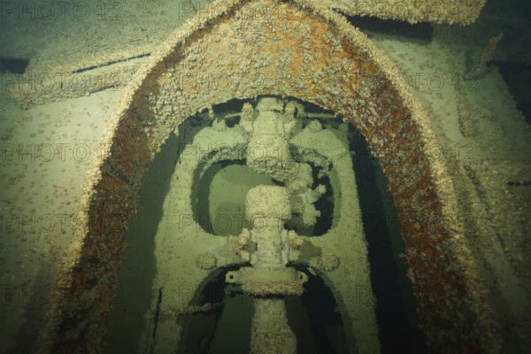 Rusty machine structure of a ship with mussels, quagga triangle mussel (Dreissena rostriformis bugensis), invasive species, shipwrecks under water, dive site wreck of the Jura, Lake Constance, Bottighofen, Switzerland, Münsterlingen, Germany, Europe